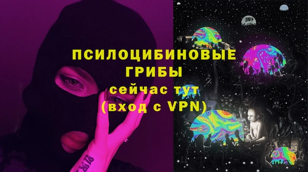 прущая мука Алзамай