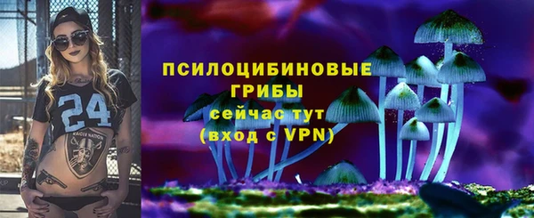 прущая мука Алзамай