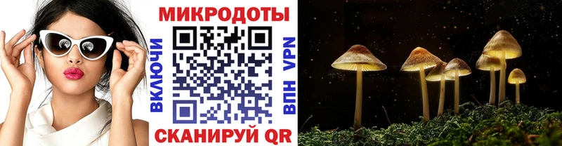 Псилоцибиновые грибы Cubensis  Липки 